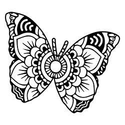 butterfly